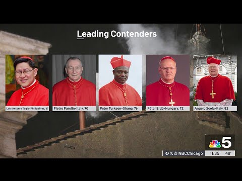 Who could replace Pope Francis? Experts explain what could happen next
