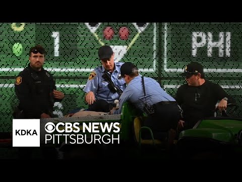 Fan falls from stands at PNC Park in Pittsburgh during Cubs-Pirates game