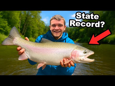 Can I Catch the State Record Rainbow Trout?