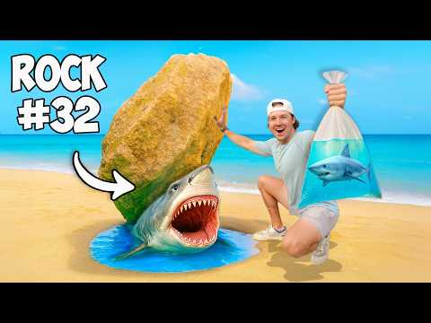 I Flipped 100 Beach Rocks, Here’s What I Found