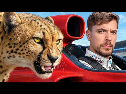 World's Fastest Car Vs Cheetah!