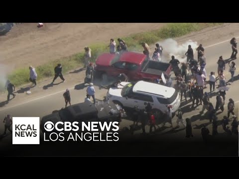 About 200 people detained during immigration raids at Southern California farms