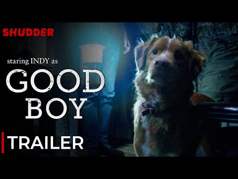 Good Boy Trailer 2025 | Good Boy Trailer Ben Leonberg | Good Boy Ben Leonberg |Good Boy Indy Trailer