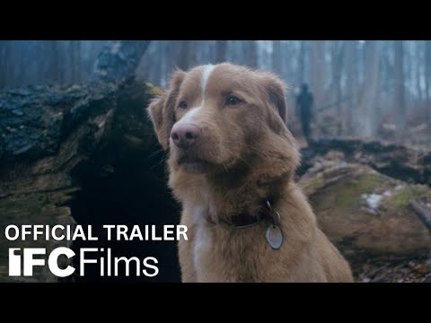 Good Boy - Official Trailer | HD | IFC Films