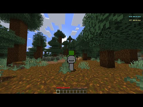 Minecraft Speedrunning (LETS WIN)