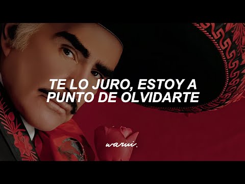 Vicente Fernández - Un Millón de Primaveras (Letra)