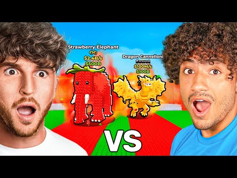 CAYLUS vs FOLTYN Aura Farm Off