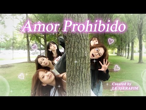 [COVER] LE SSERAFIM - Amor Prohibido (원곡 : Selena)