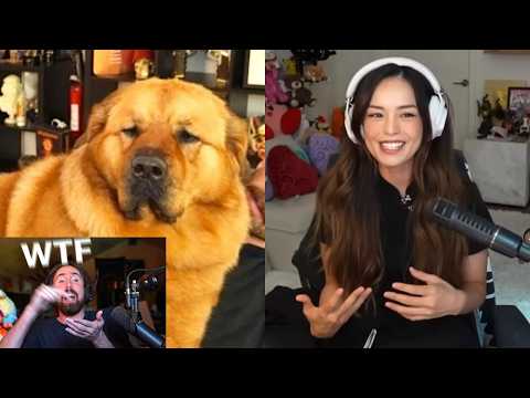 This got even worse..