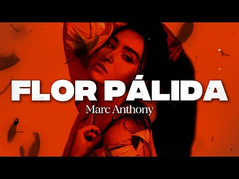 Marc Anthony - Flor Pálida 🥀 (Letra/Lyrics)