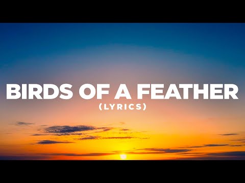 Billie Eilish - BIRDS OF A FEATHER (Lyrics Cover) | Pop Mage