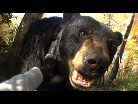 Joji - Past Won't Leave My Bed (Official Video)