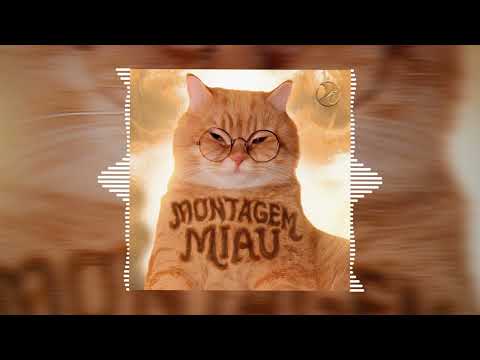 MONTAGEM MIAU (SLOWED) - Lenar, Leonardo P